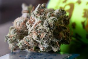 Green Dream Strain – Fun & Energetic