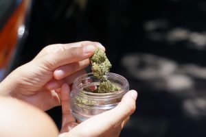 Is Marijuana Legal in San Francisco?